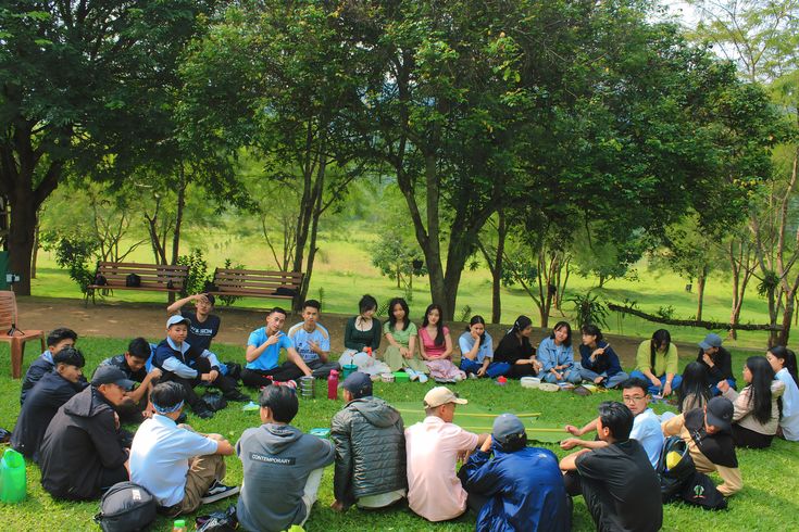 Catalyst Mentorship Track participants in an outdoor group session