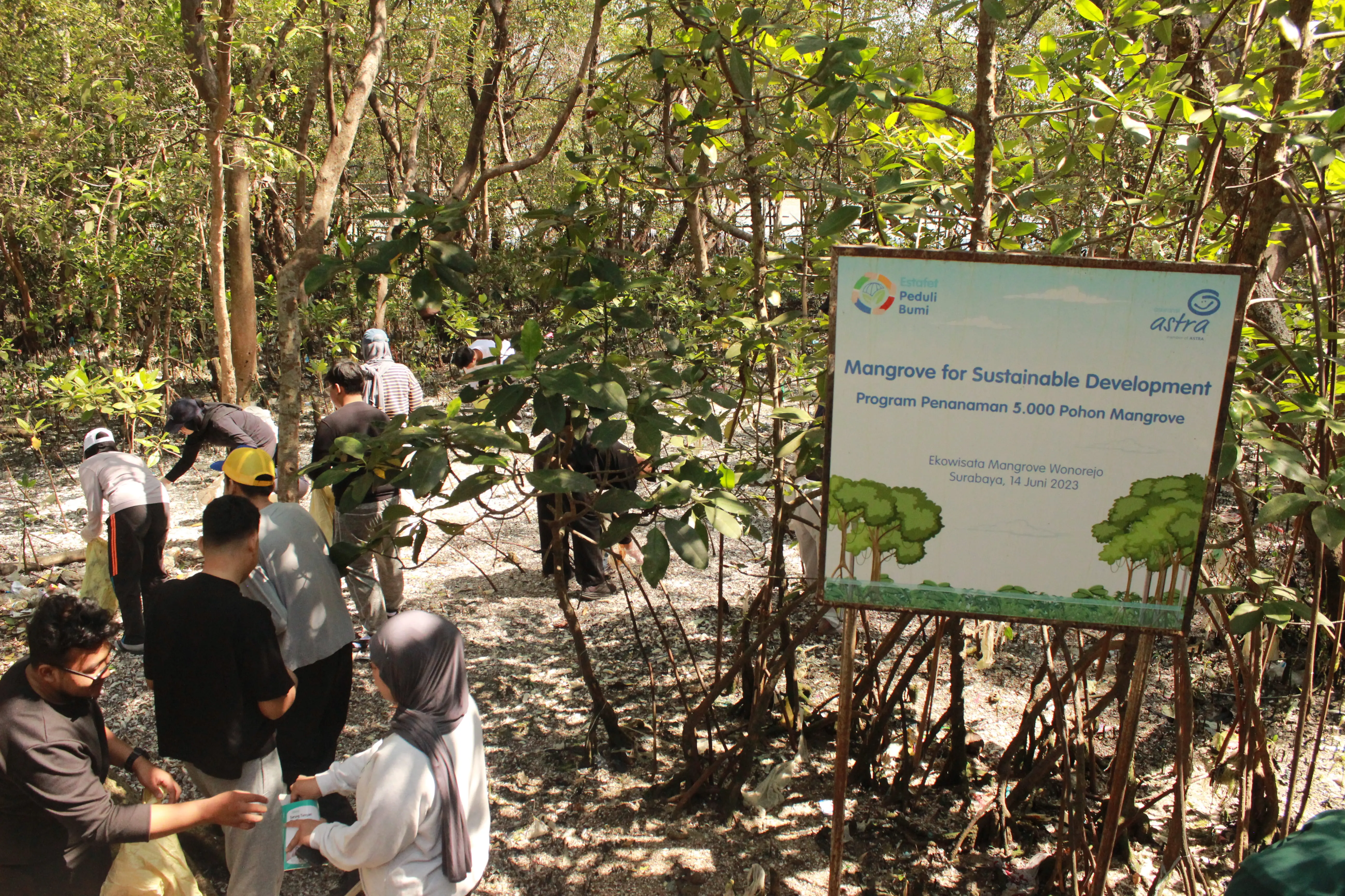 Participants taking environmental action in a mangrove area