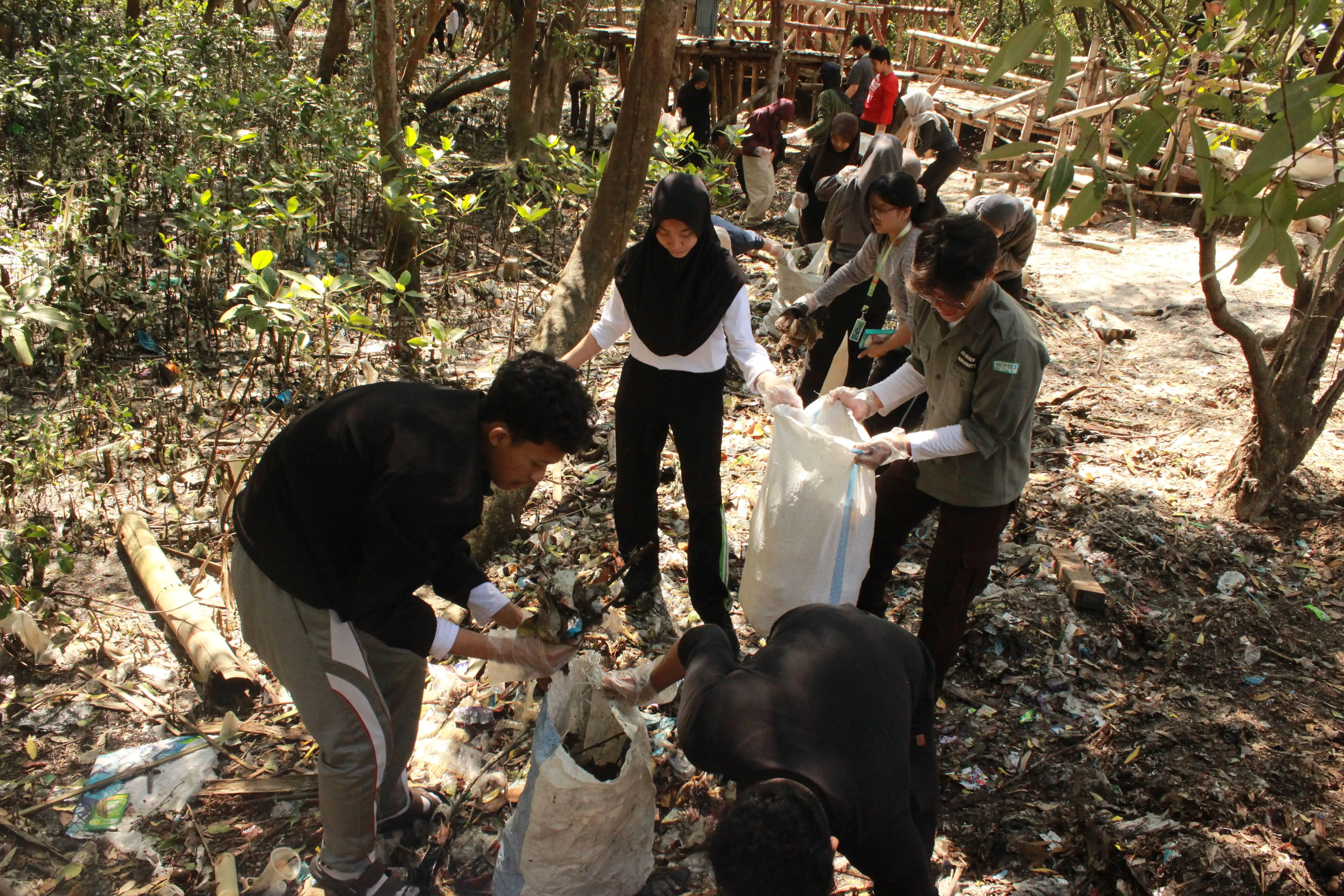 Catalyst Green Action activity highlight 1