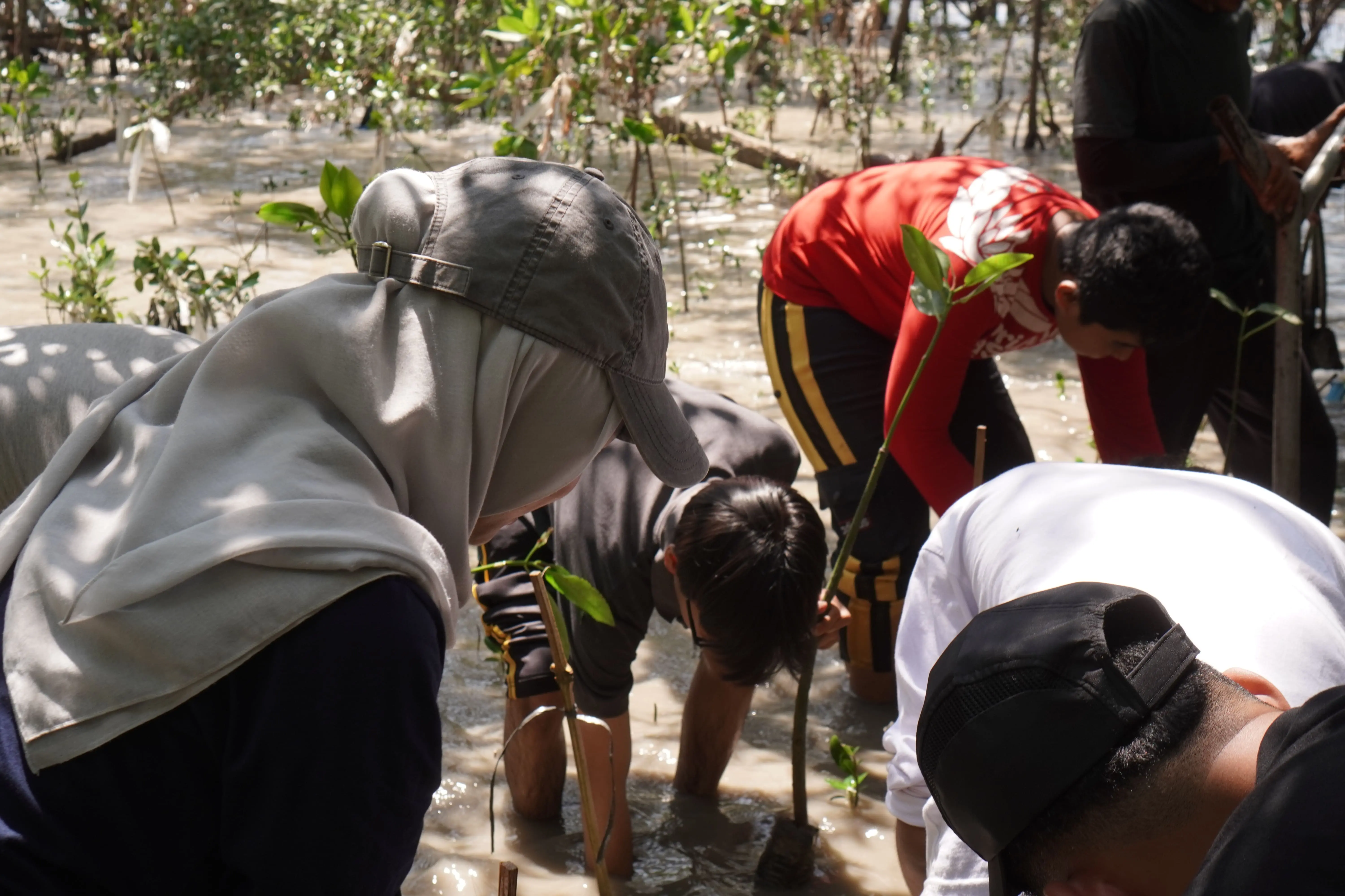 Catalyst Green Action activity highlight 2