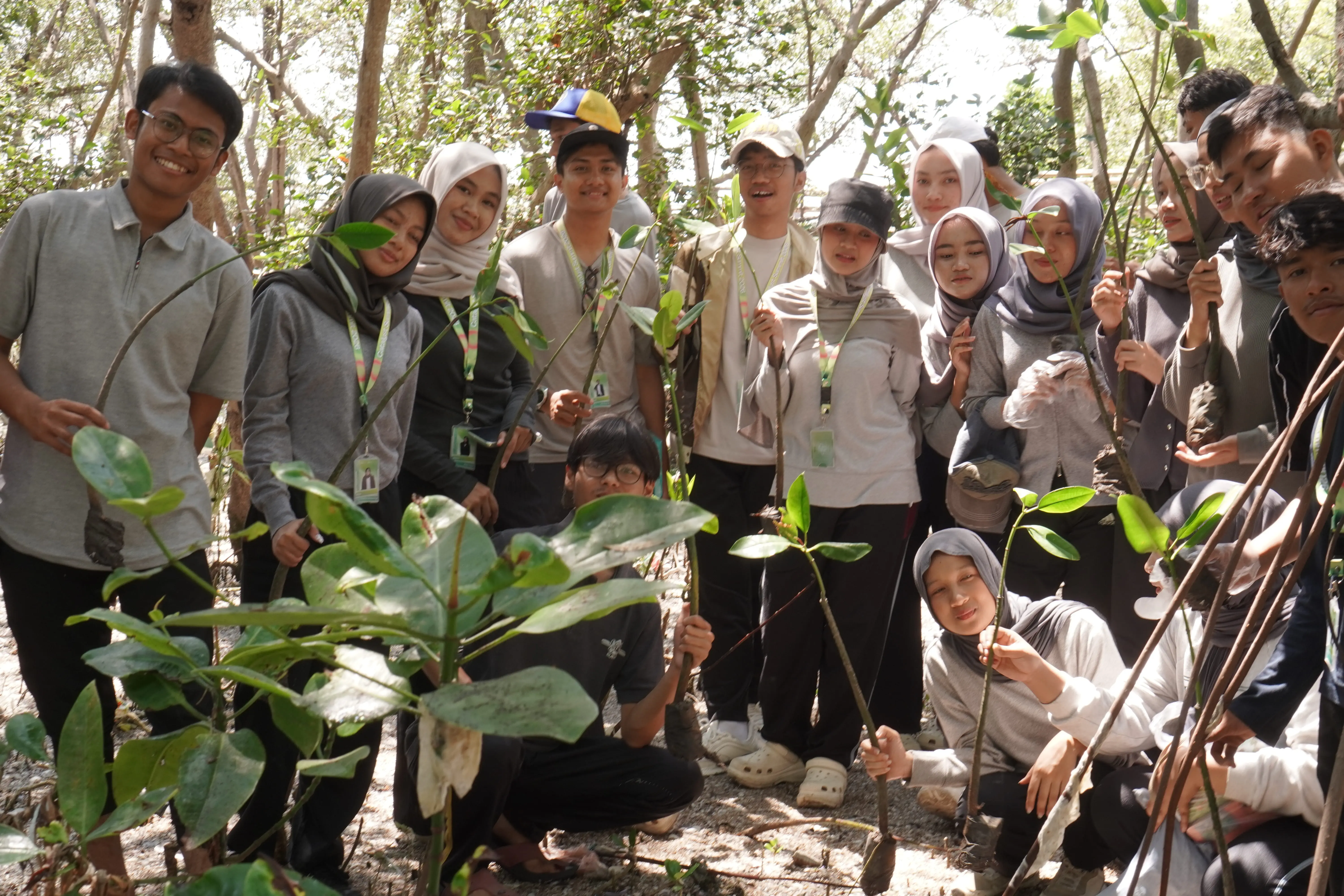 Catalyst Green Action activity highlight 4