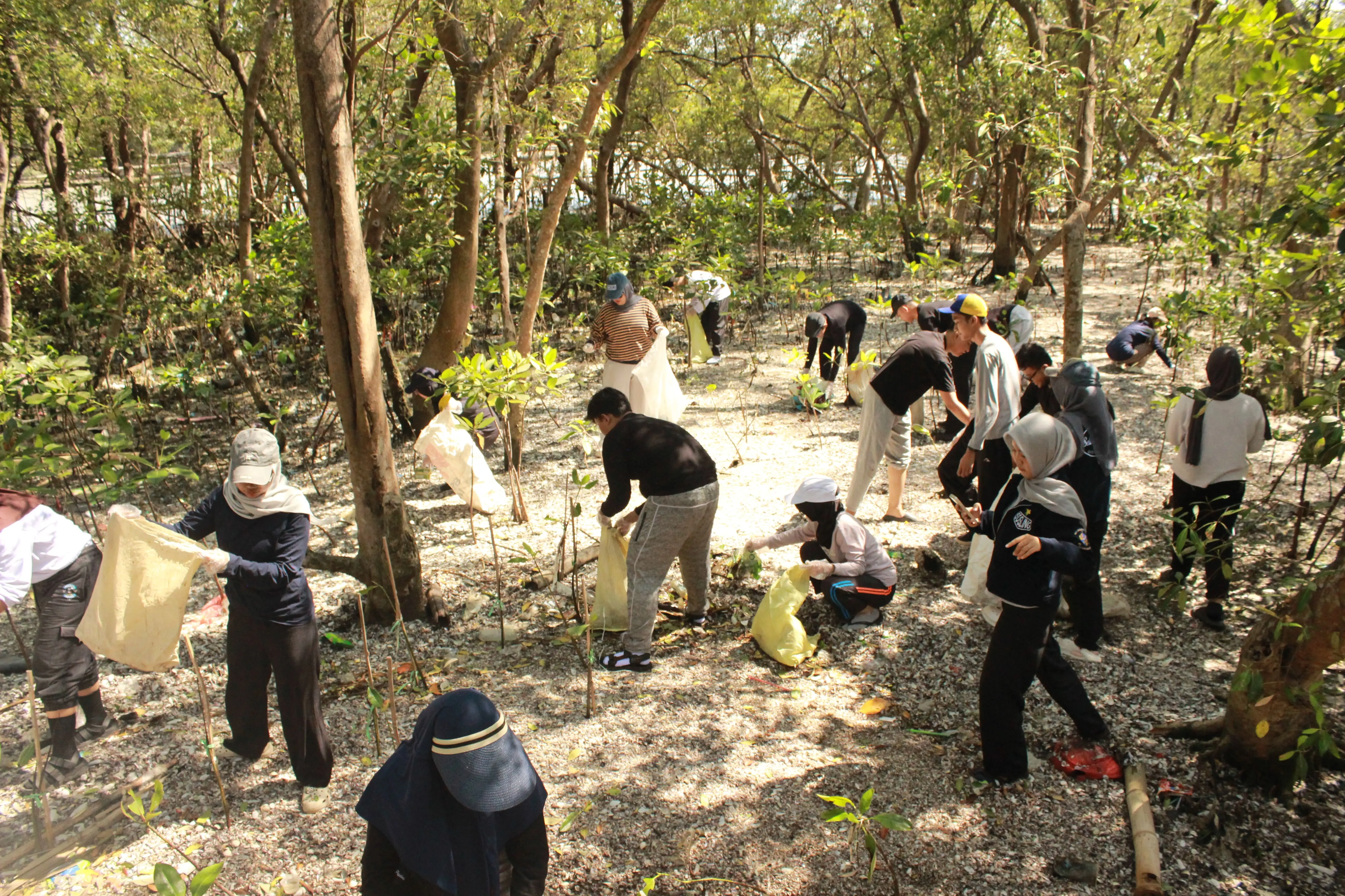 Catalyst Green Action participants working together in a mangrove area